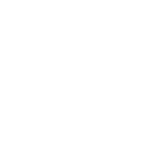 OT_Kraus_Icons_2025__White_C_Brace1