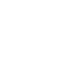 OT_Kraus_Icons_white_Einlagen